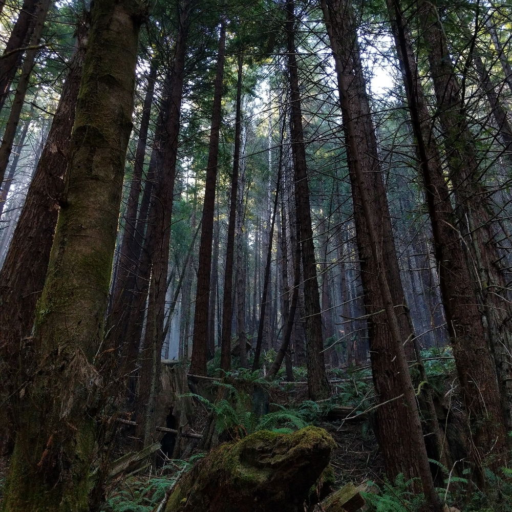 Meet your Posher, Sky